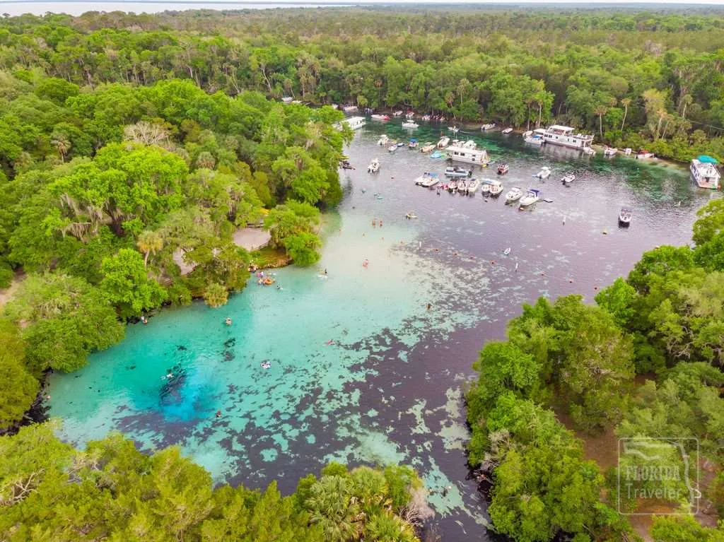 Silver Glen Springs > Ocala National Forest