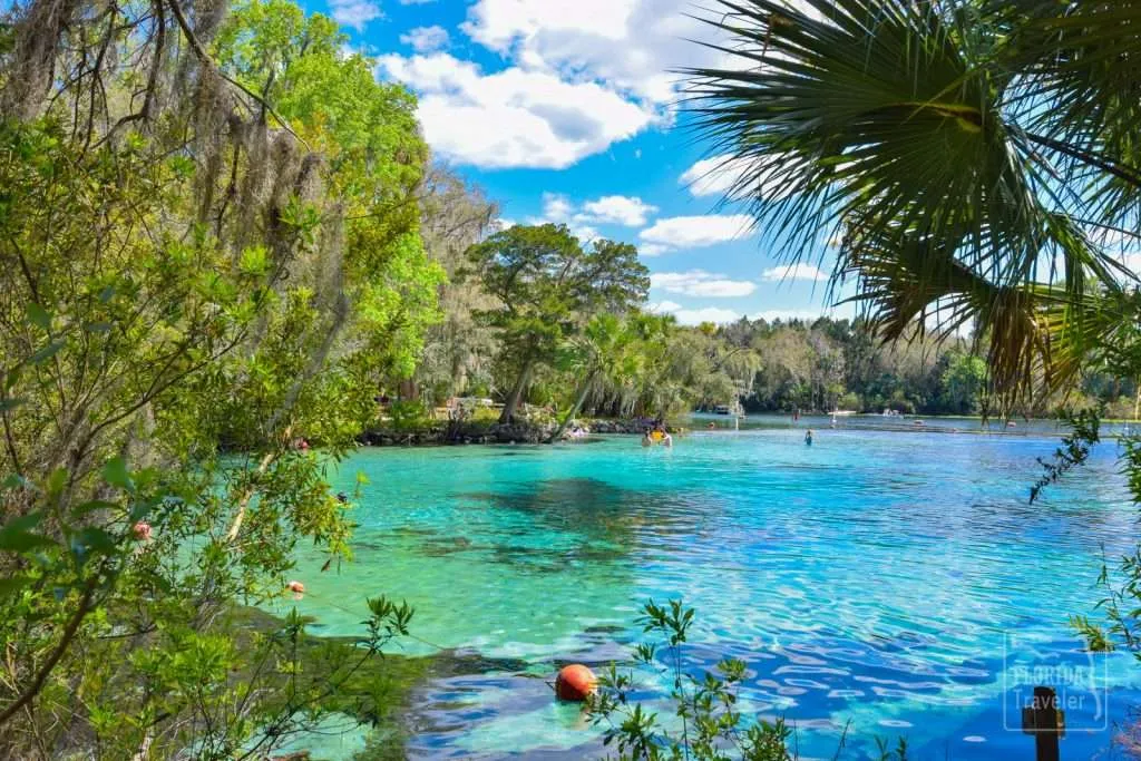 National Forests in Florida - Salt Springs Recreation Area