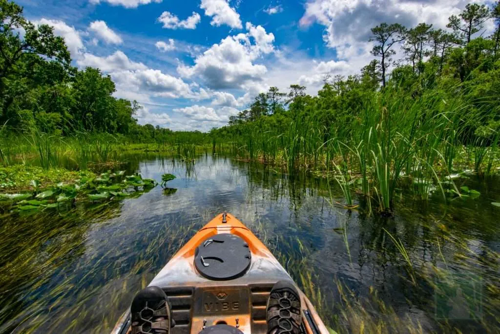 Splash Into the Springs Near Gainesville, FL »