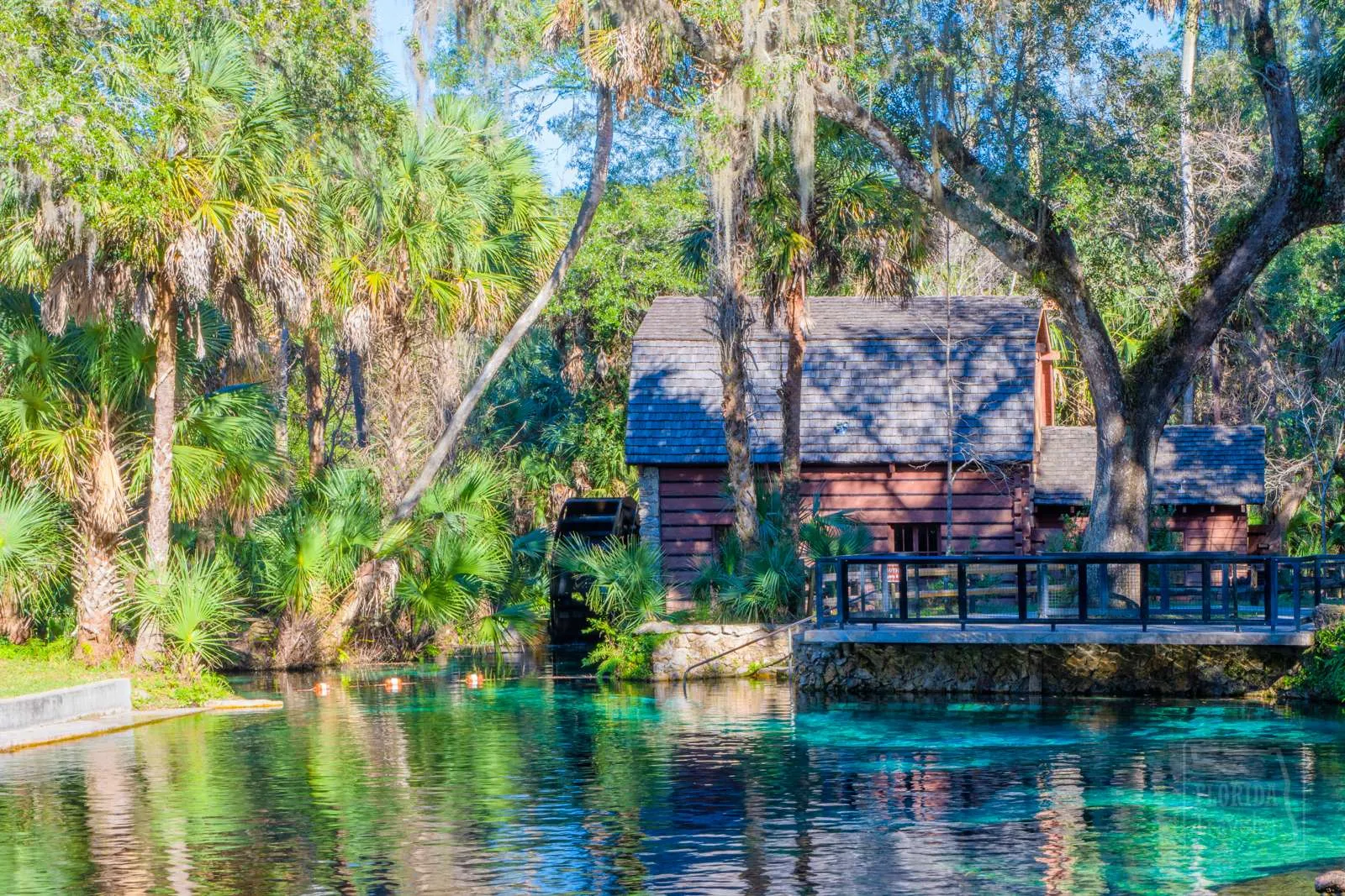 Ocala National Forest Camping & Cabins