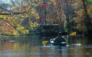 Kayaking Ocklawaha River